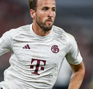 期待他们在 期待他们在