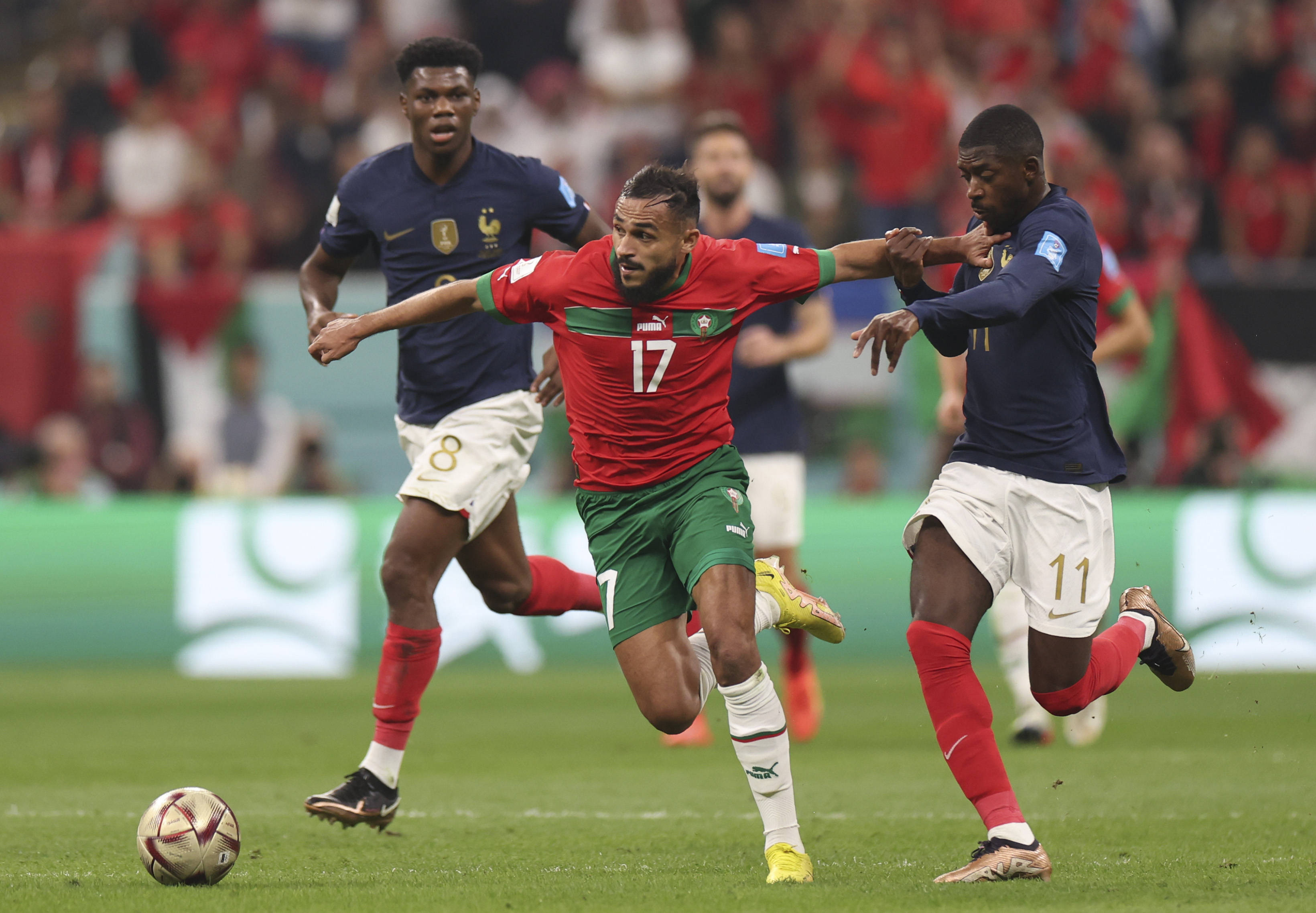 综合能力的 综合能力的