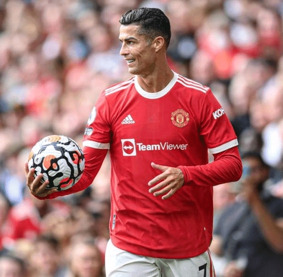 整体美学 整体美学